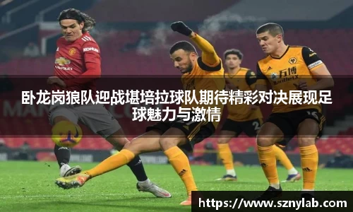 卧龙岗狼队迎战堪培拉球队期待精彩对决展现足球魅力与激情